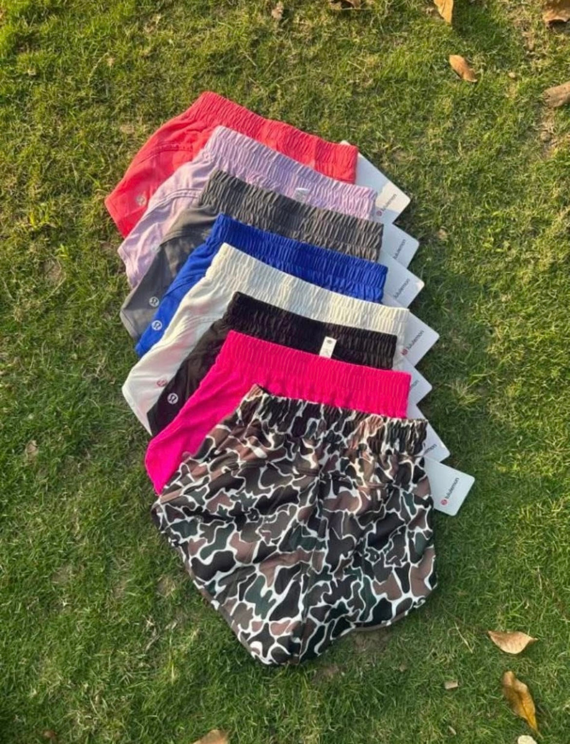 Lulu Shorts