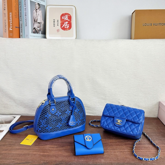 Blue Lv purse set