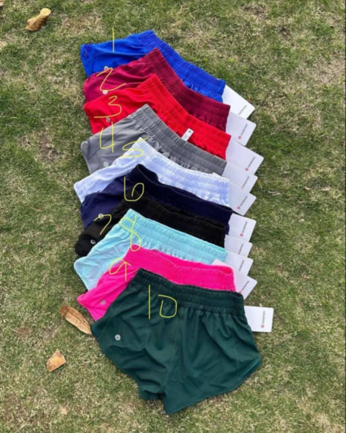 Lulu Shorts
