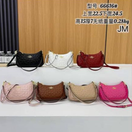 Coach Crossbdy/handbag